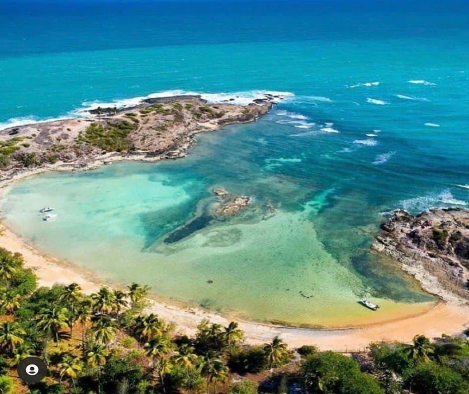 Ilha de Santo Aleixo — Receptivo Completo