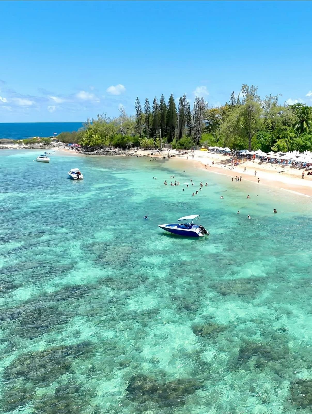 Ilha de Santo Aleixo — Receptivo Completo — imagem 1