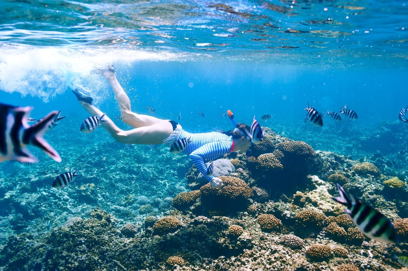 Mergulho em Calhetas e Porto de Galinhas — imagem 1
